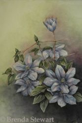 Clematis