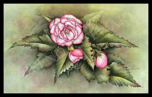 Angel Wing Begonia Watercolor E-Tutorial