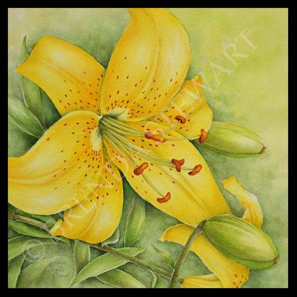 Carsanna's Lily E-Tutorial