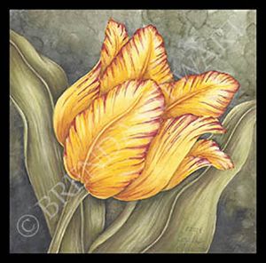 Feathered Glory WC E-Tutorial