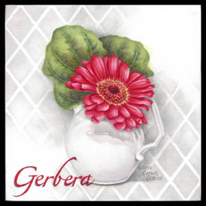 Gerber in Pitcher600